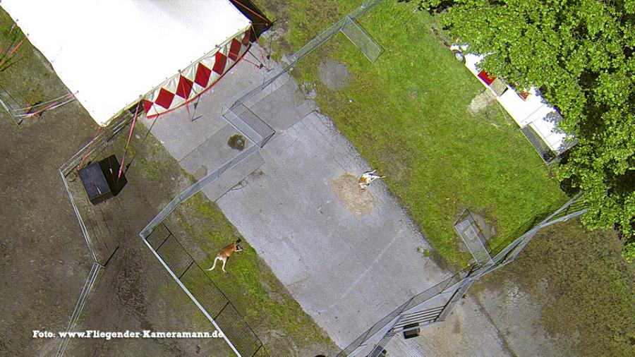 Luftbilder / Luftaufnahmen Zirkus Luftbilder / Luftaufnahmen Zirkus