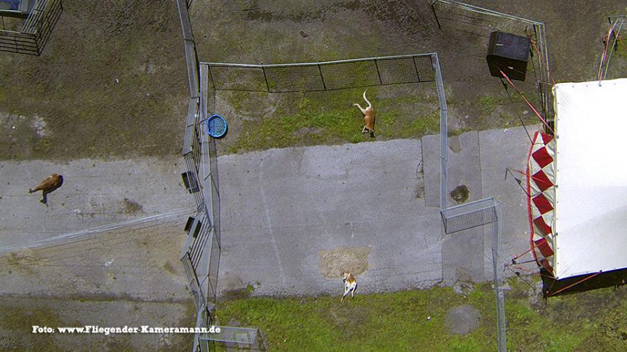 Luftbilder / Luftaufnahmen Zirkus Luftbilder / Luftaufnahmen Zirkus