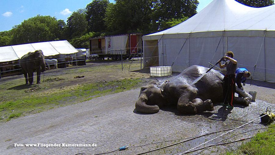 Luftbilder / Luftaufnahmen Zirkus Luftbilder / Luftaufnahmen Zirkus